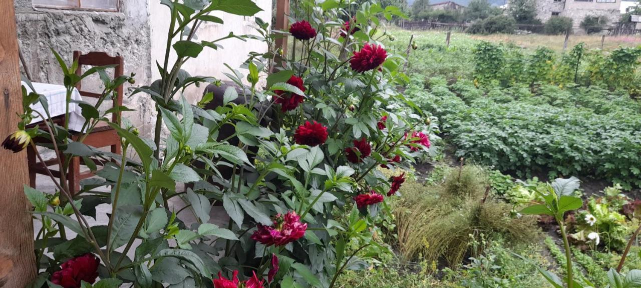 Lela Guest House Mestia Luaran gambar